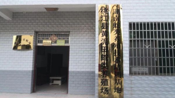 養蛇基地